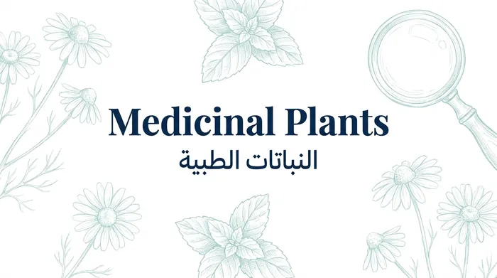 النباتات الطبيه (بوتاني)
