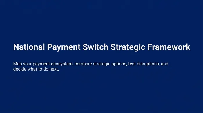 National Payment Switch Strategic Framework