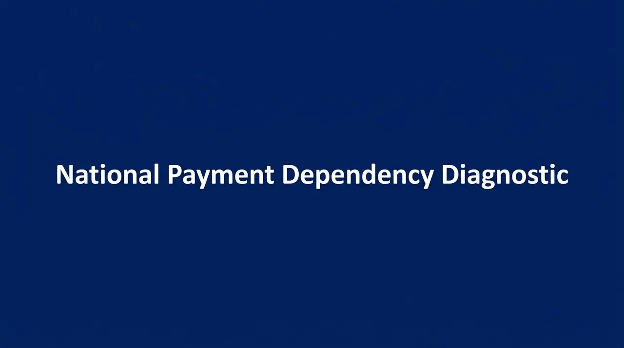 National Payment Dependency Diagnostic