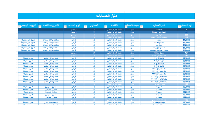 دليل محاسبى كامل مناسب لأى شركة