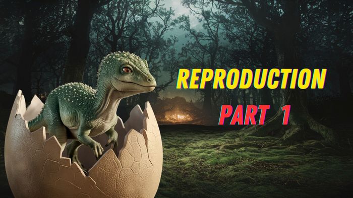 Reproduction (CH.3) part 1