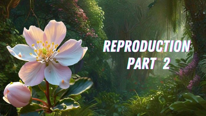 Reproduction (CH.3) part 2