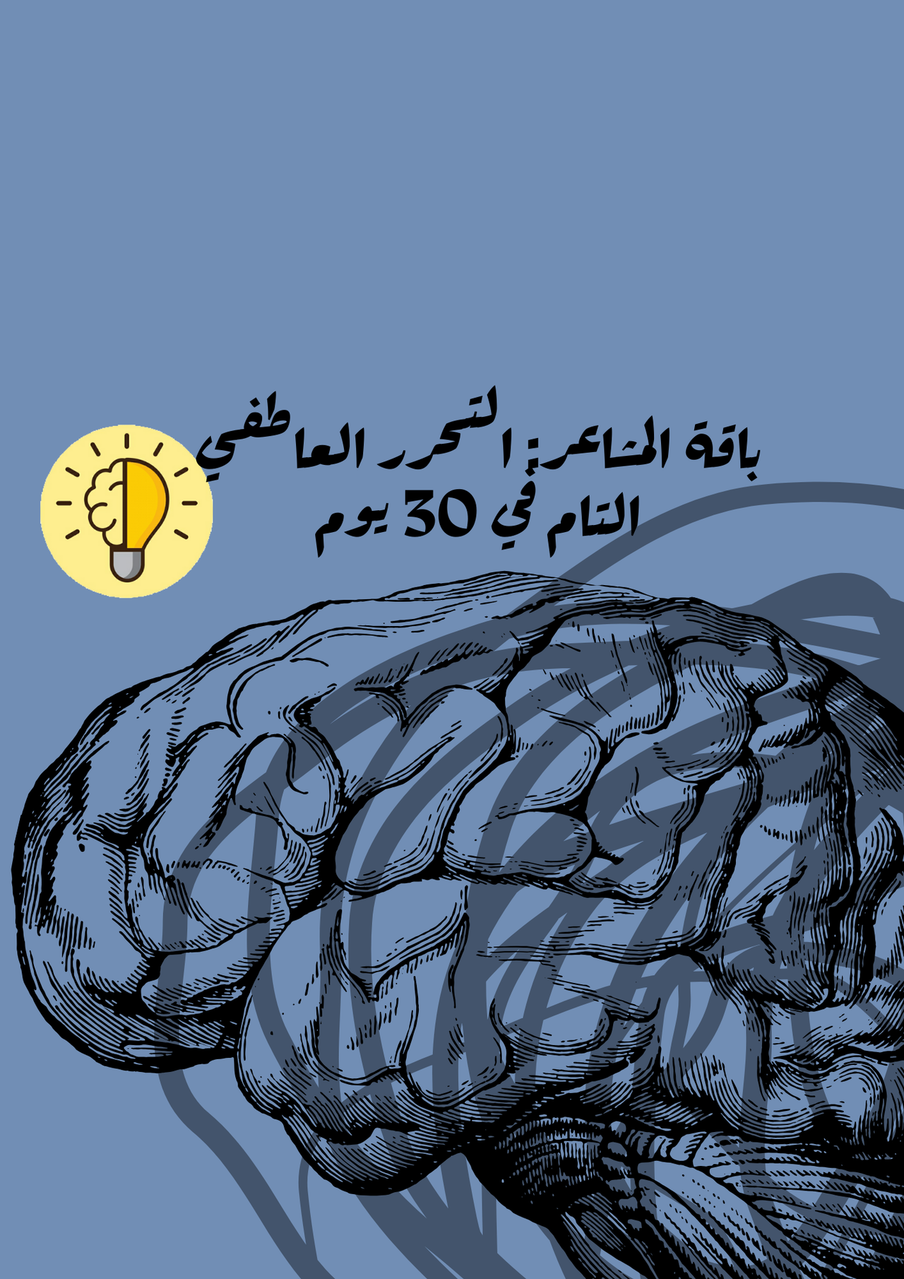 باقة المشاعر: التحرر العاطفي التام في 30 يوم