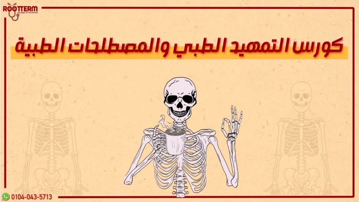 كورس التمهيد الطبي والمصطلحات الطبية