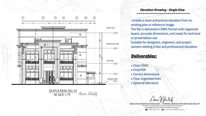 Professional Elevation Drawing