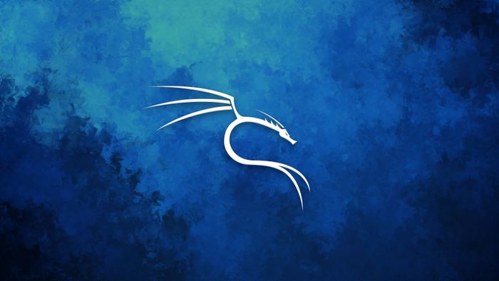 ادارة أنظمة لينكس | Kali Linux