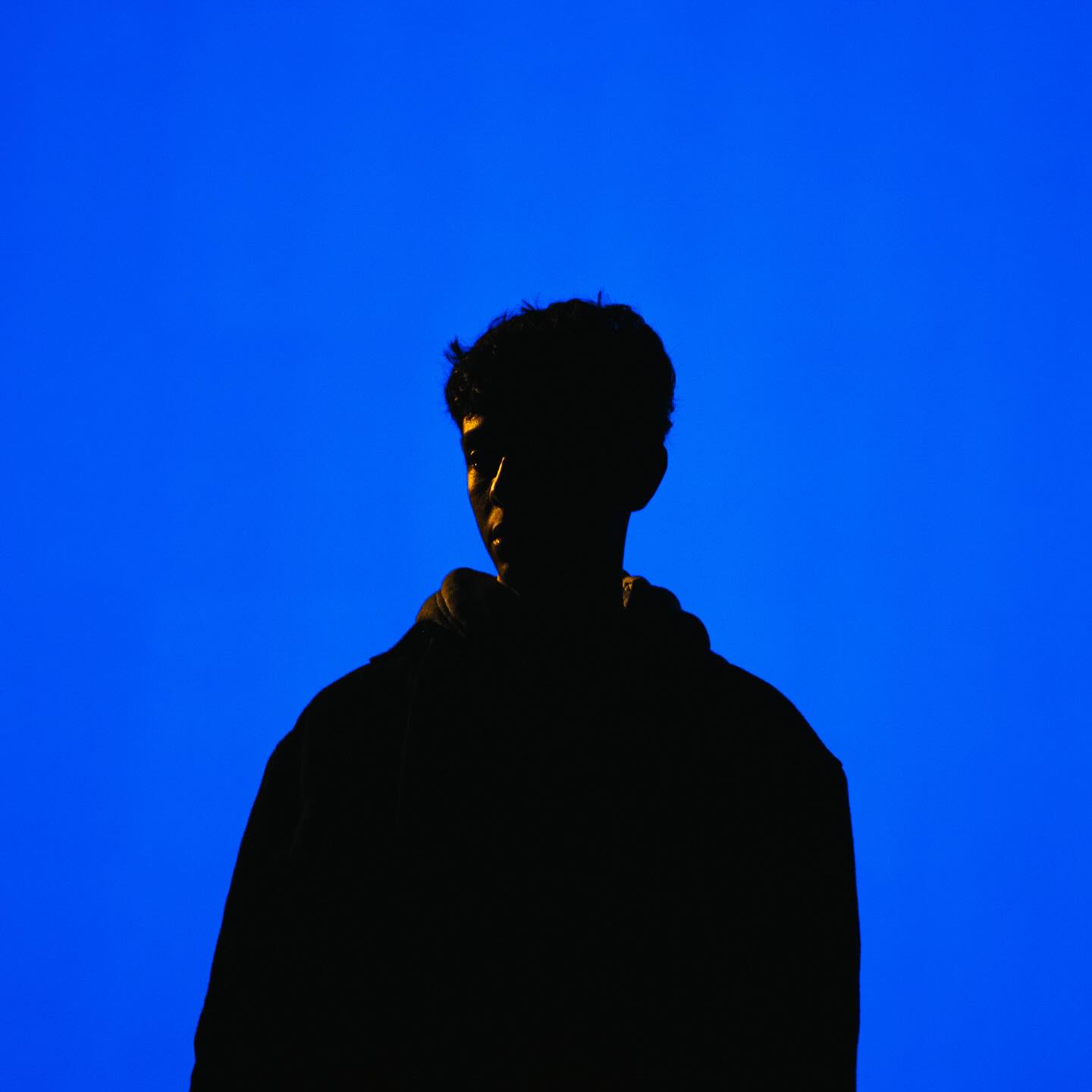 Mustafa Alshaikh